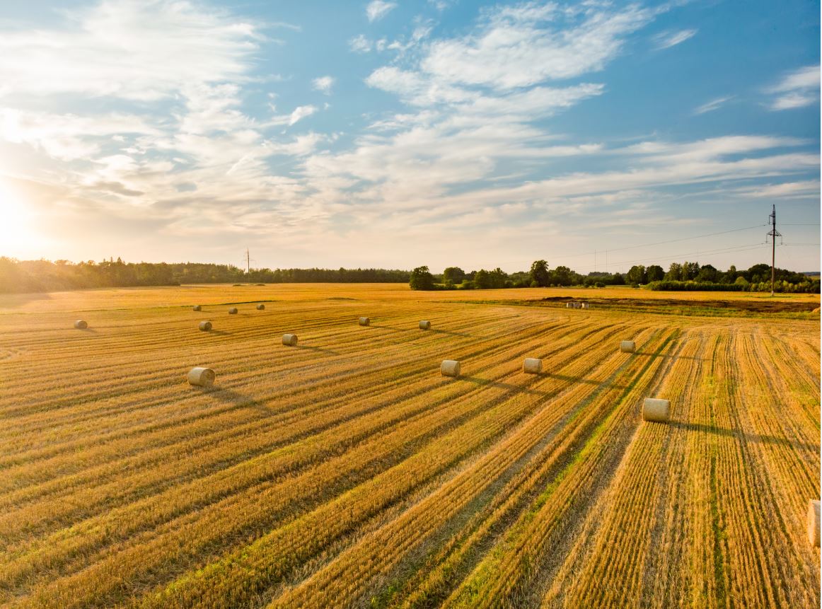 It’s go time for Overseas Investment Act reforms what you need to